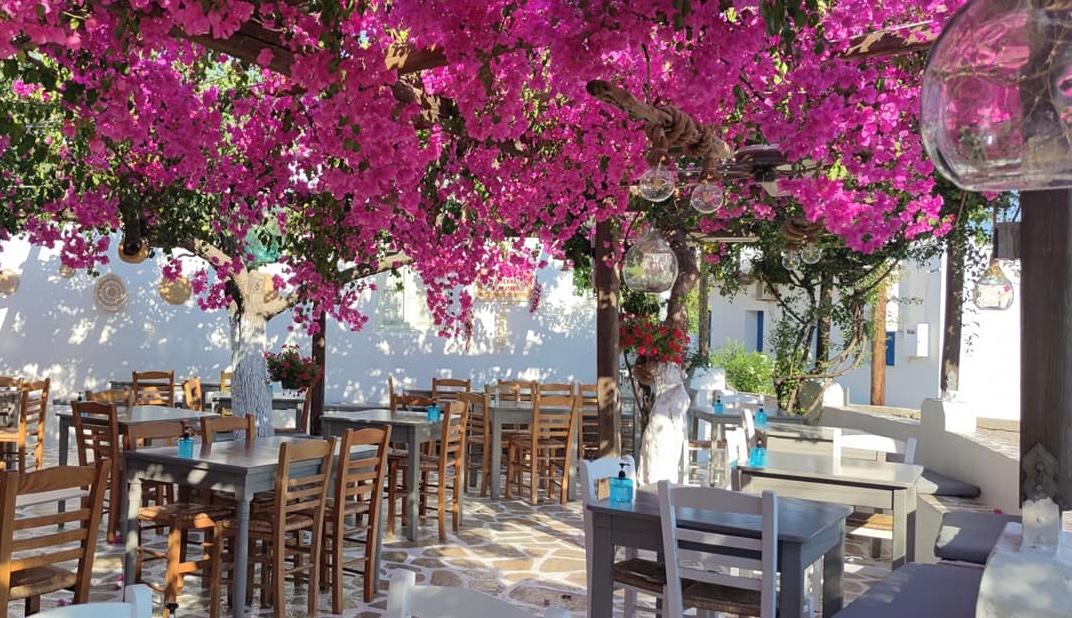 Klimataria Taverna - photo 2