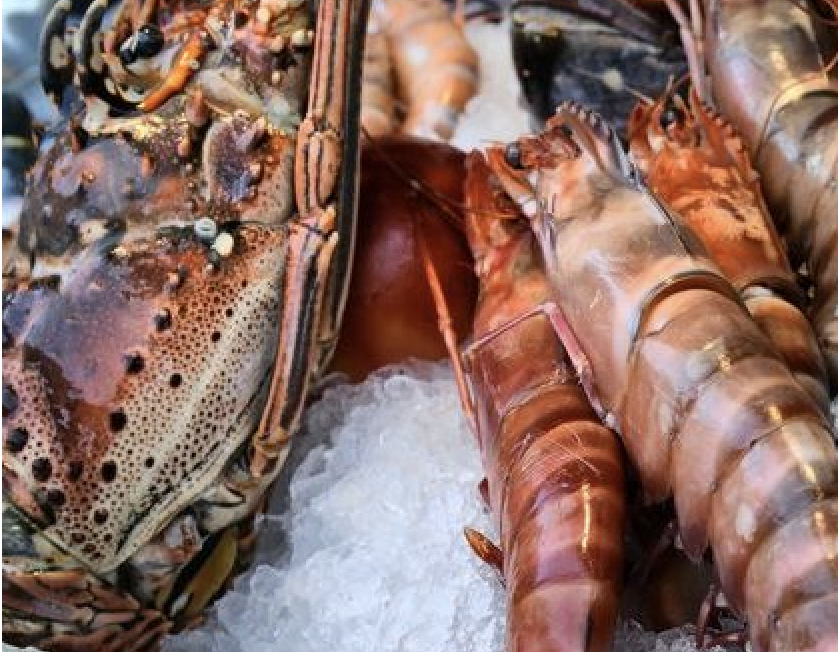 Soros Beach - photo 3