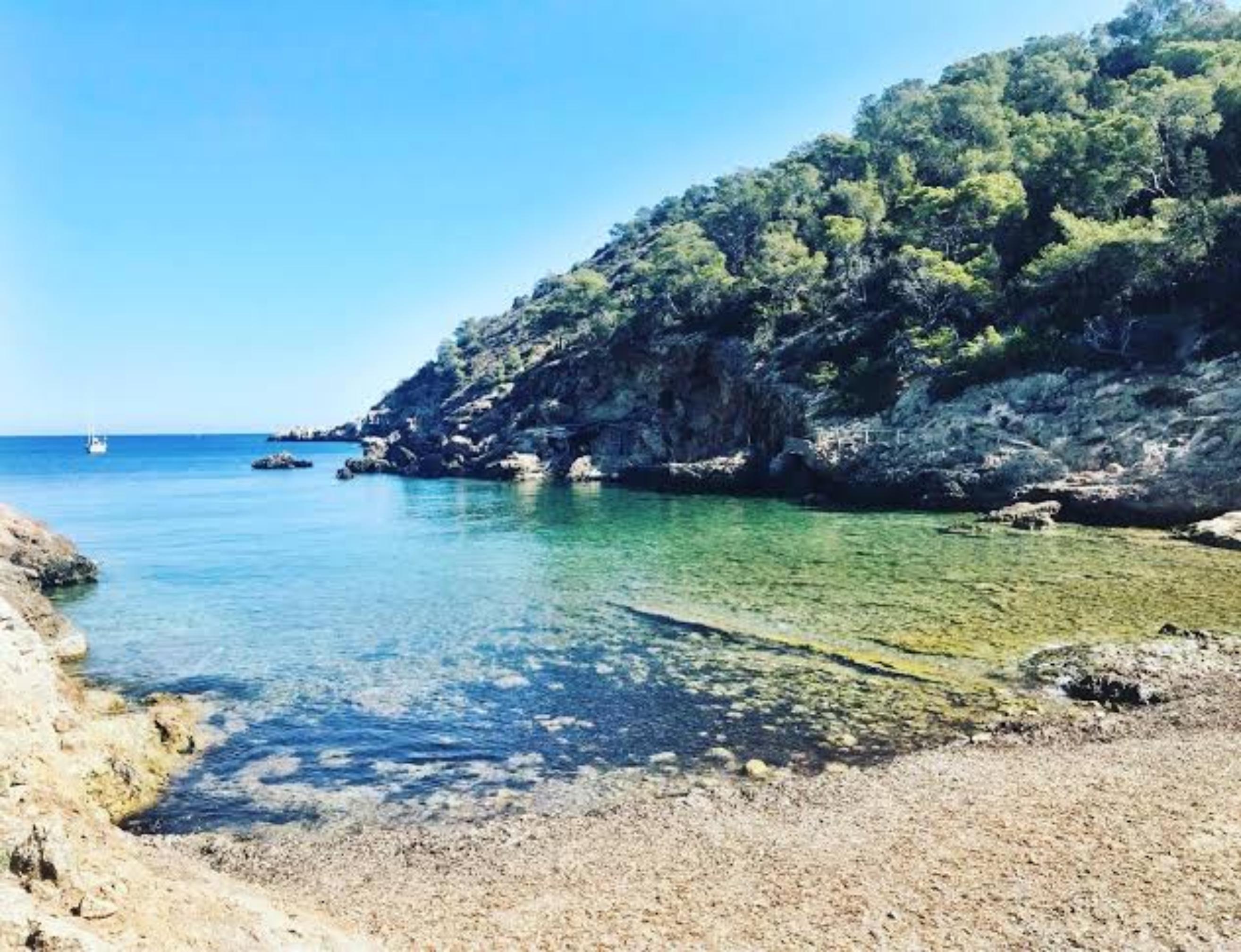 Chiringuito Cala Xuclar - photo 3