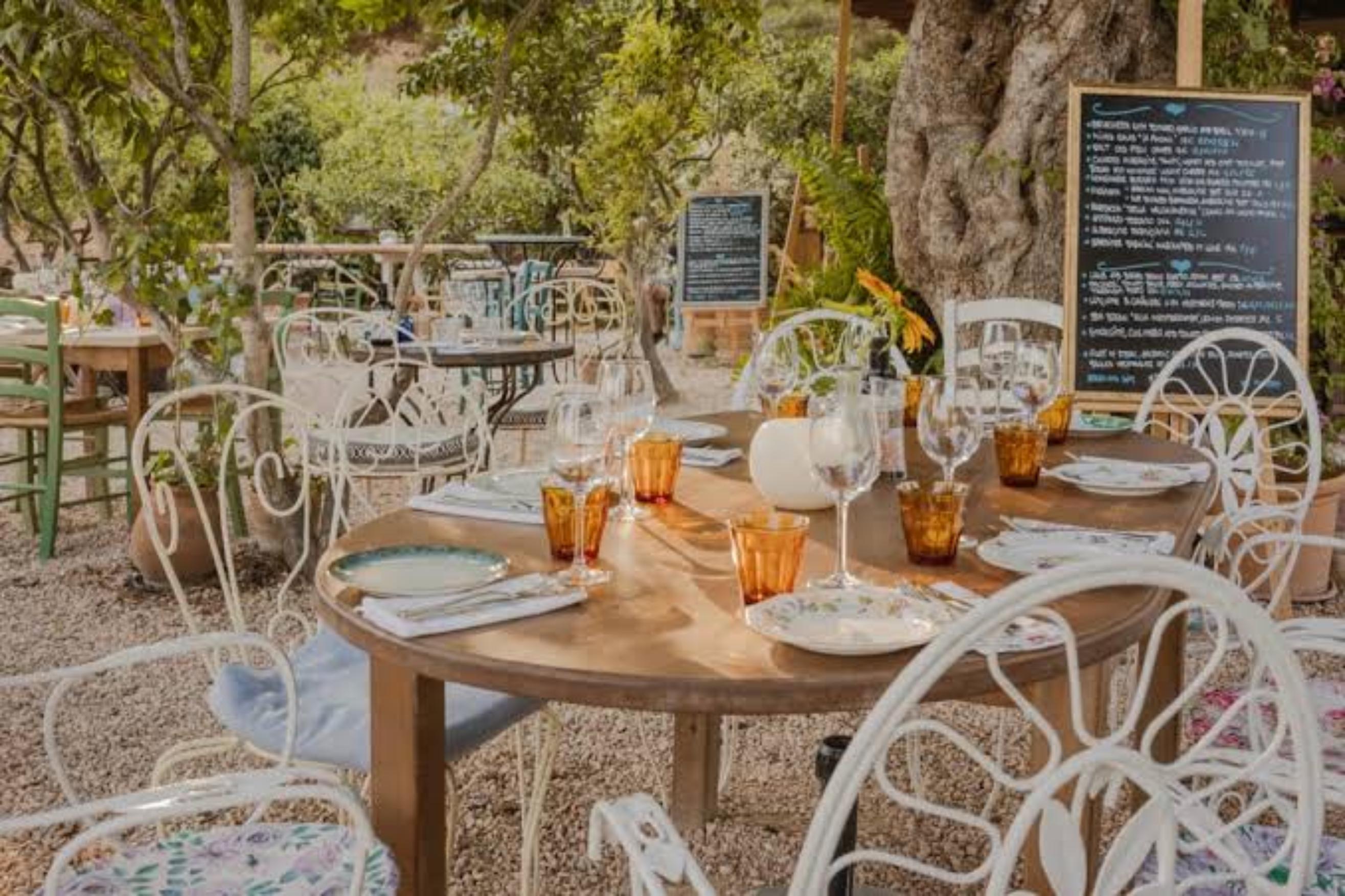 La Paloma - Dinner Venues