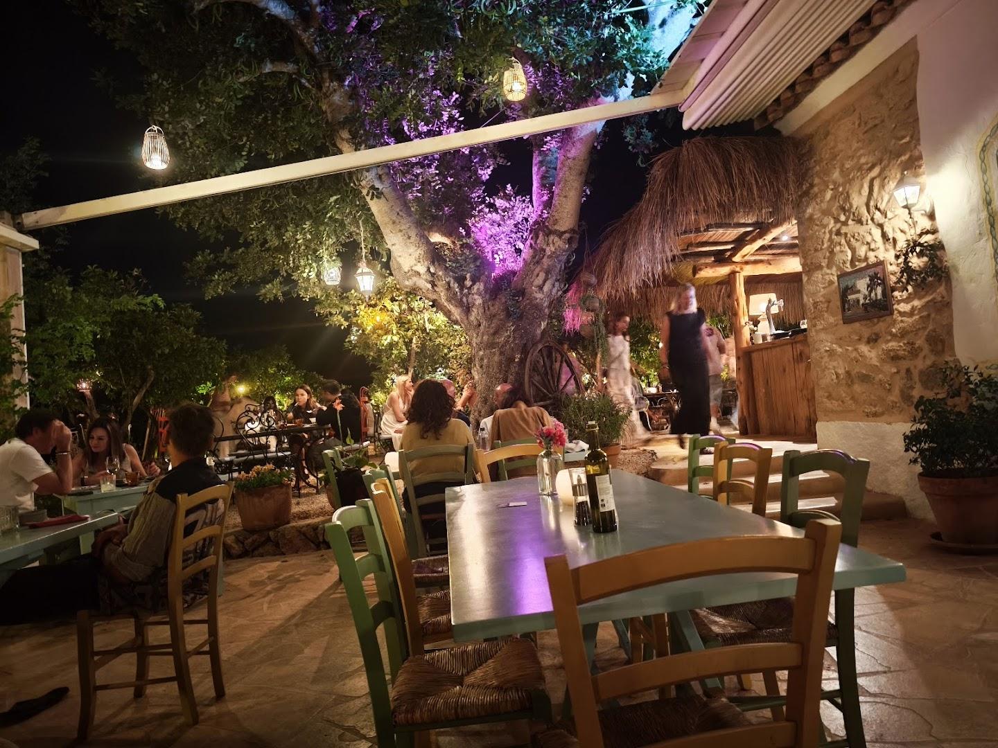 La Paloma - Dinner Venues