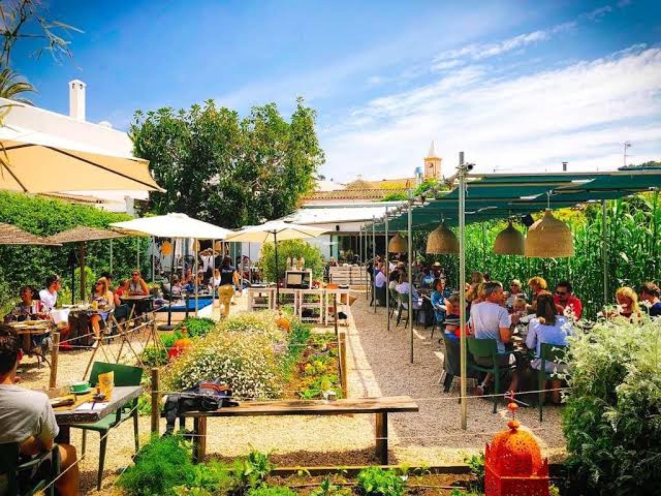 The Giri Café - photo 3