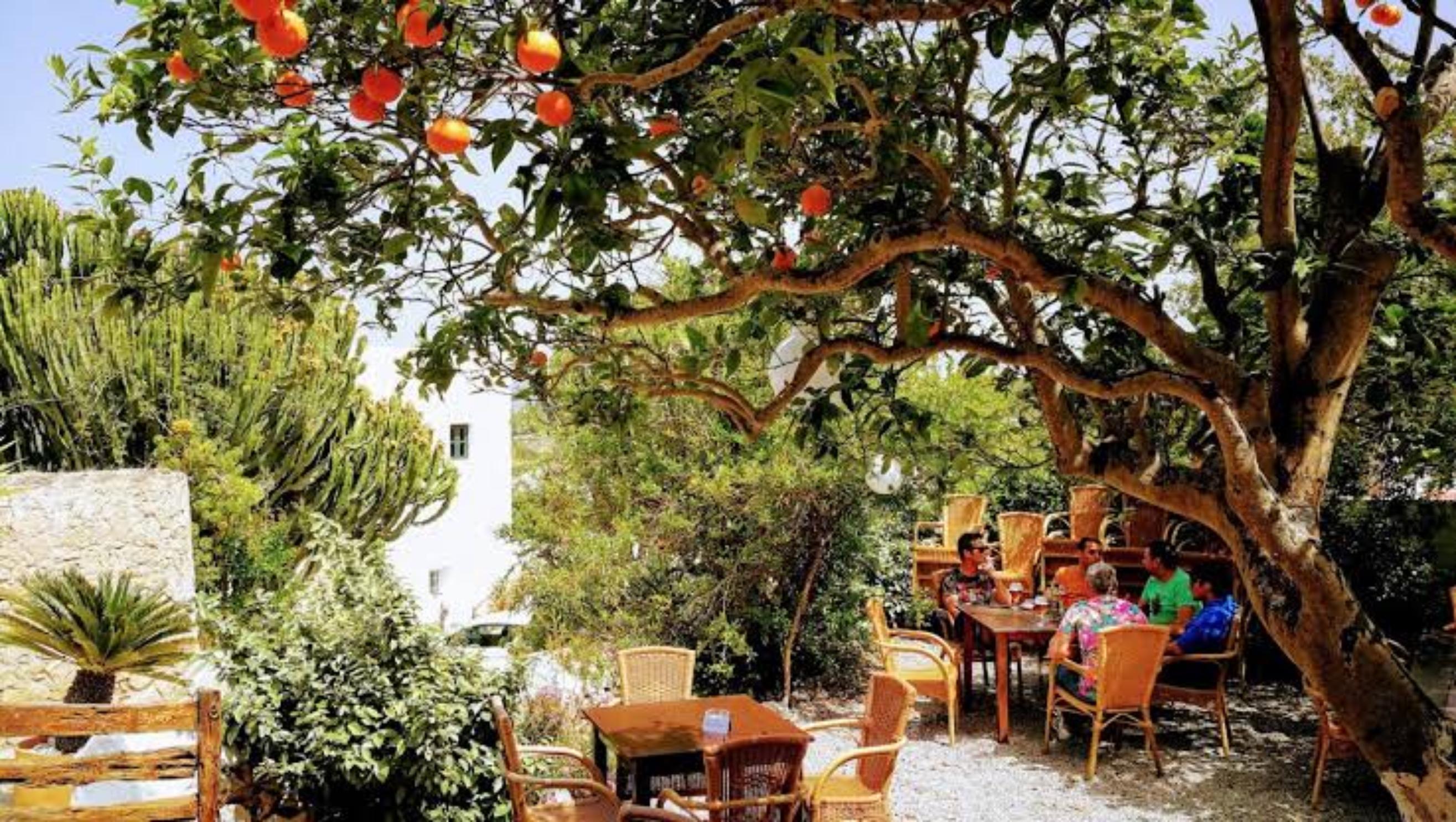 Restaurant Can Berri Vell - photo 3