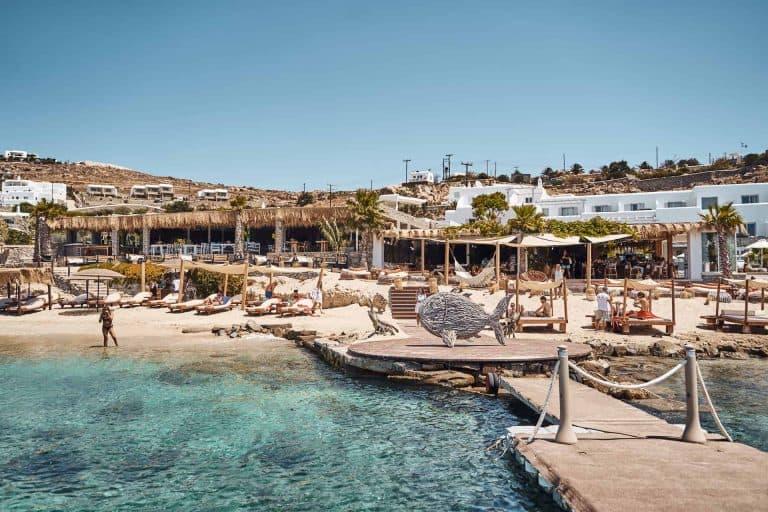 Hippie Fish - photo 2