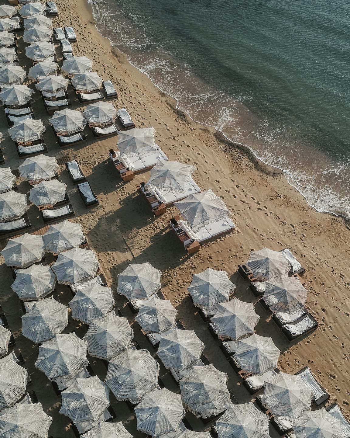 Principote - photo 2