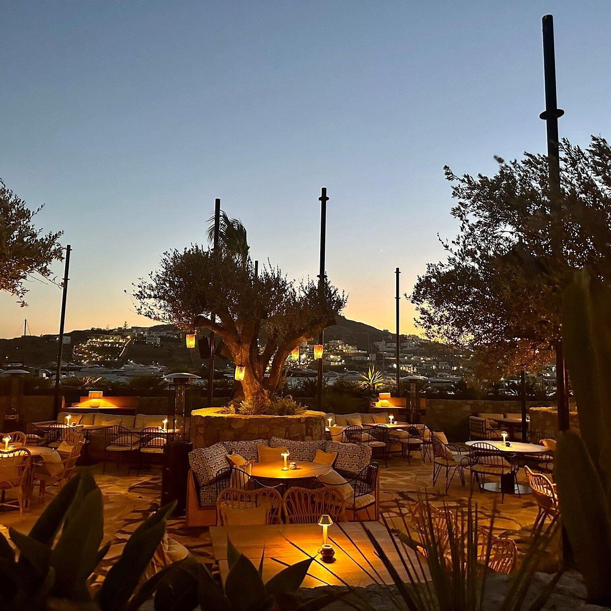 La Cantine du Faubourg 105 - photo 3