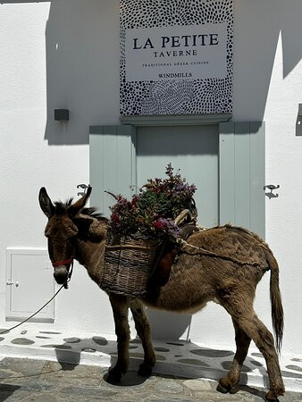 La Petite Taverne Metropole - Dinner Venues