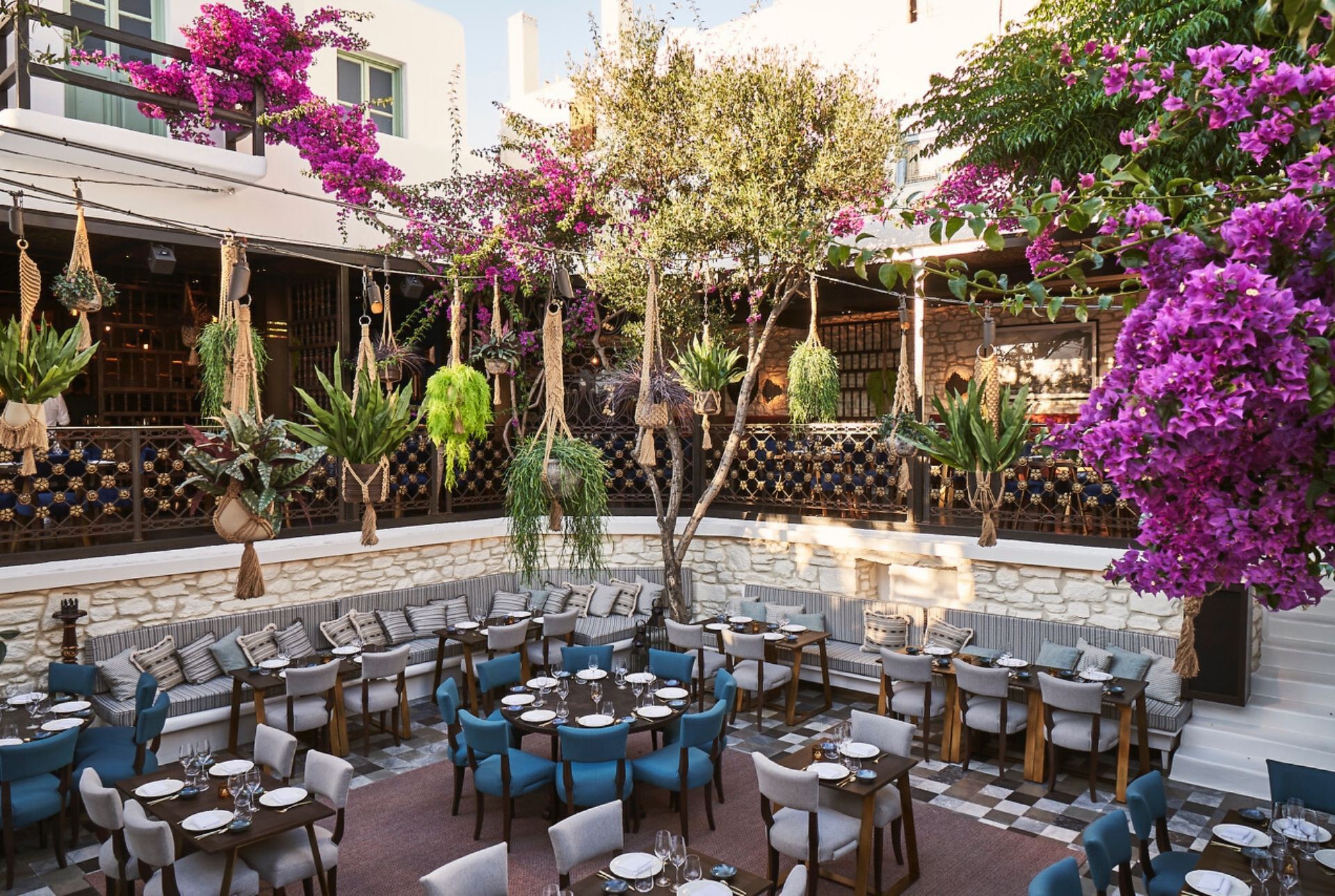 Coya - Dinner Venues