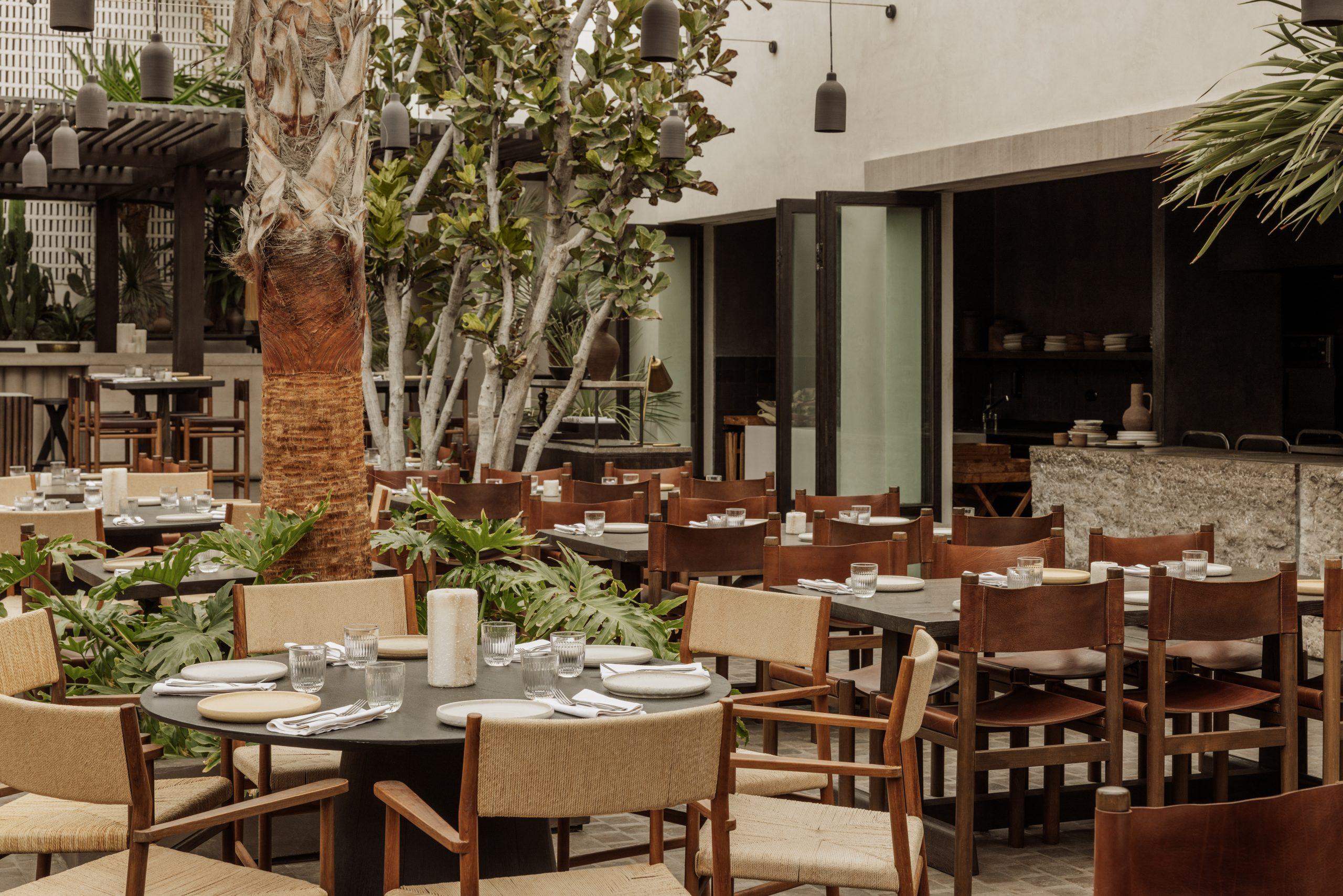 Noema - Dinner Venues