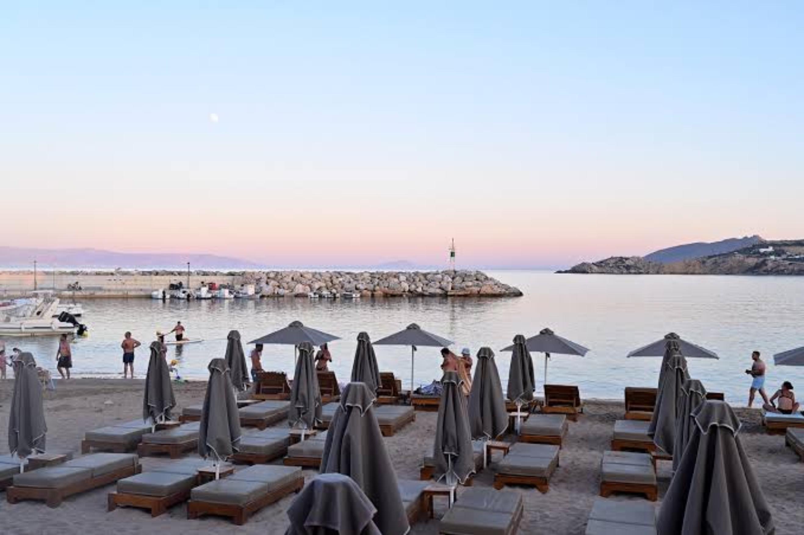 Blue Oyster - photo 2