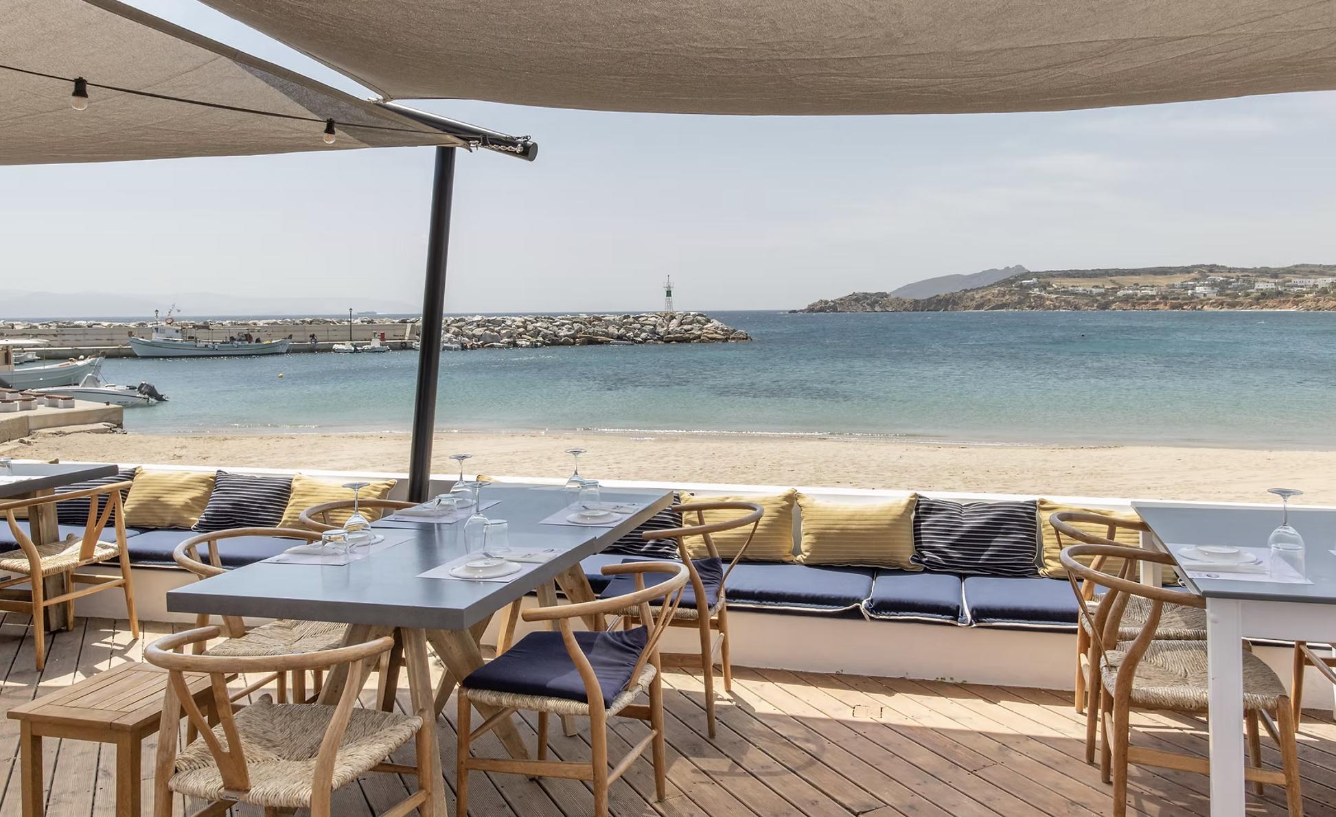 Blue Oyster - photo 2