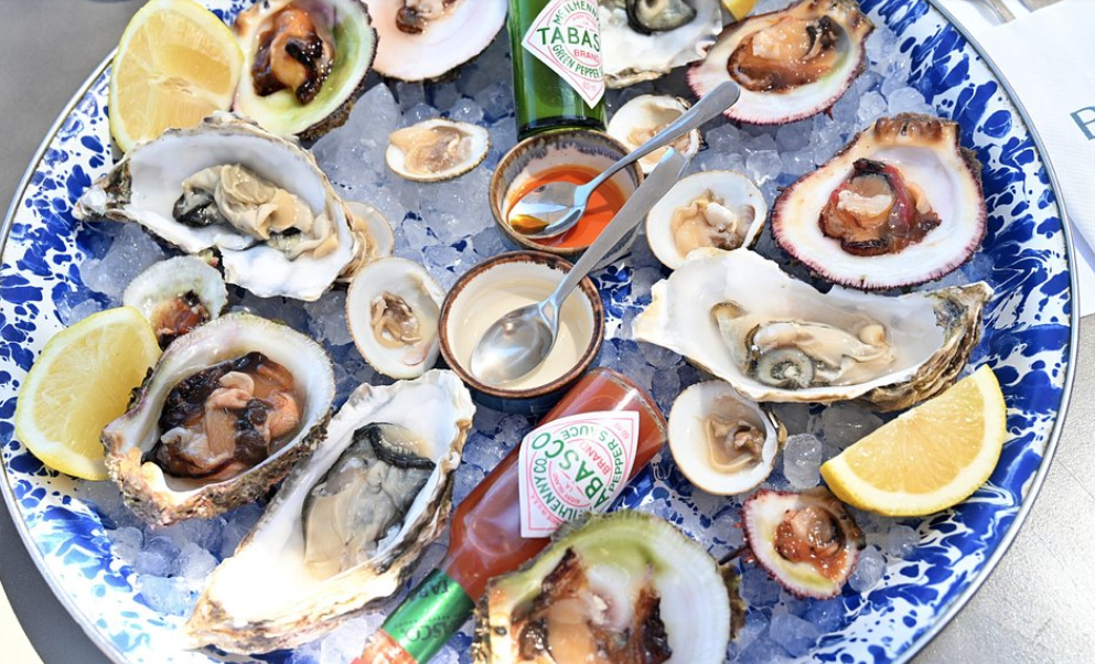 Blue Oyster - photo 3