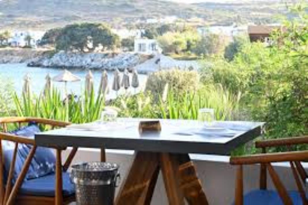 Blue Oyster - Lunch Spots