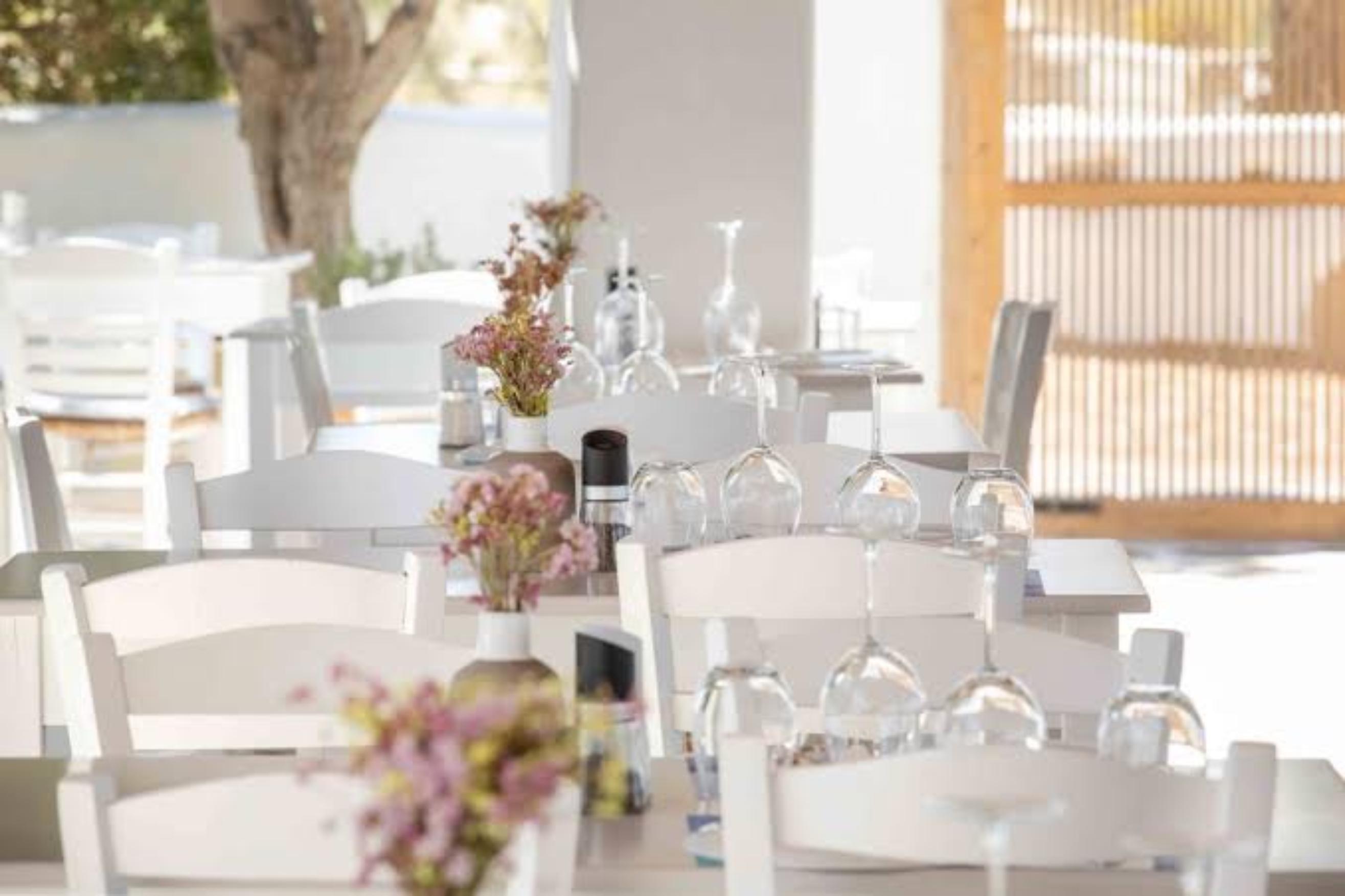 Siparos - Lunch Spots